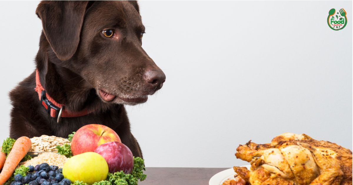 Open Farm Dog Food
