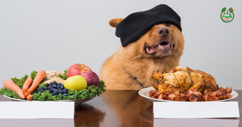Open Farm Dog Food