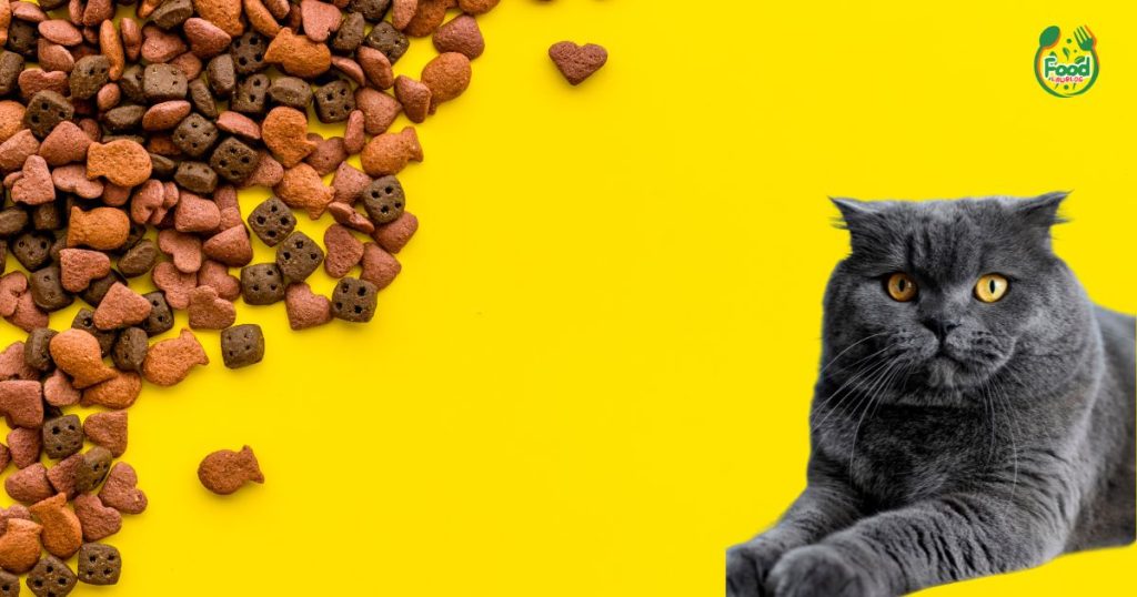 best cat food brands