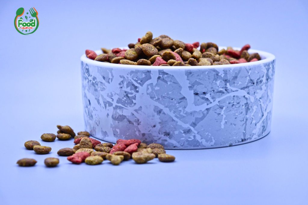 best cat food brands