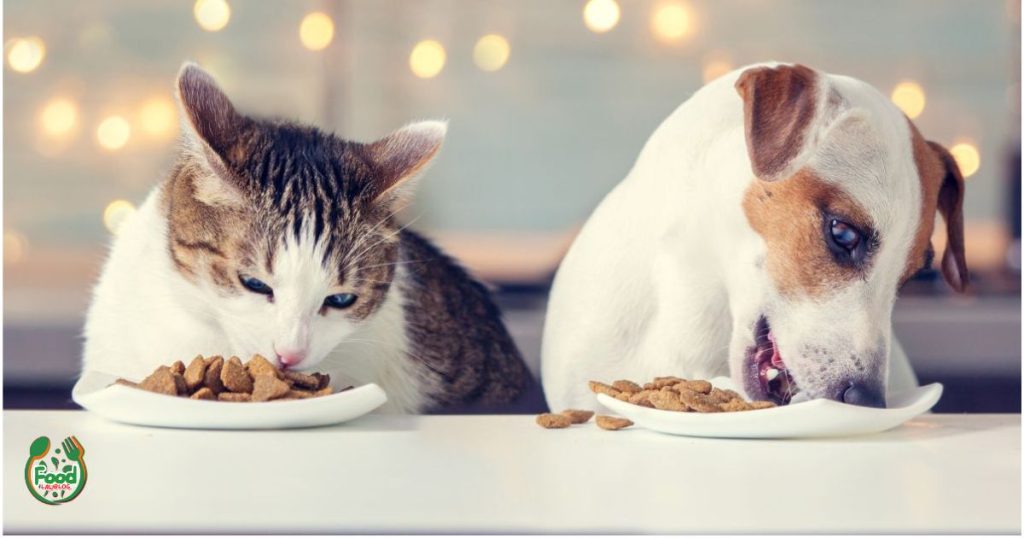 dog and cat health food