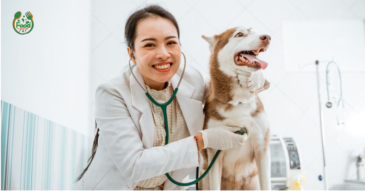 dog and cat health food