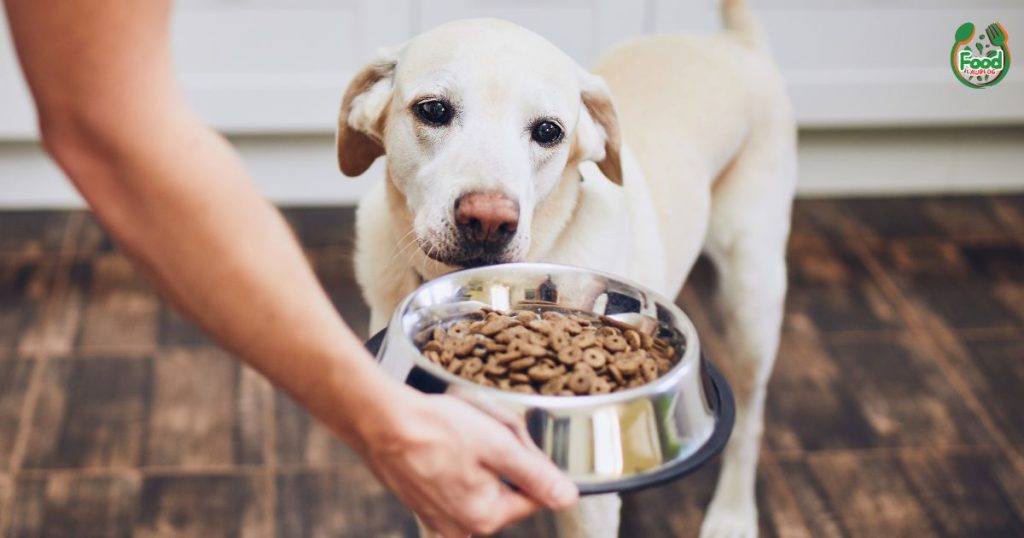 low fat dog food