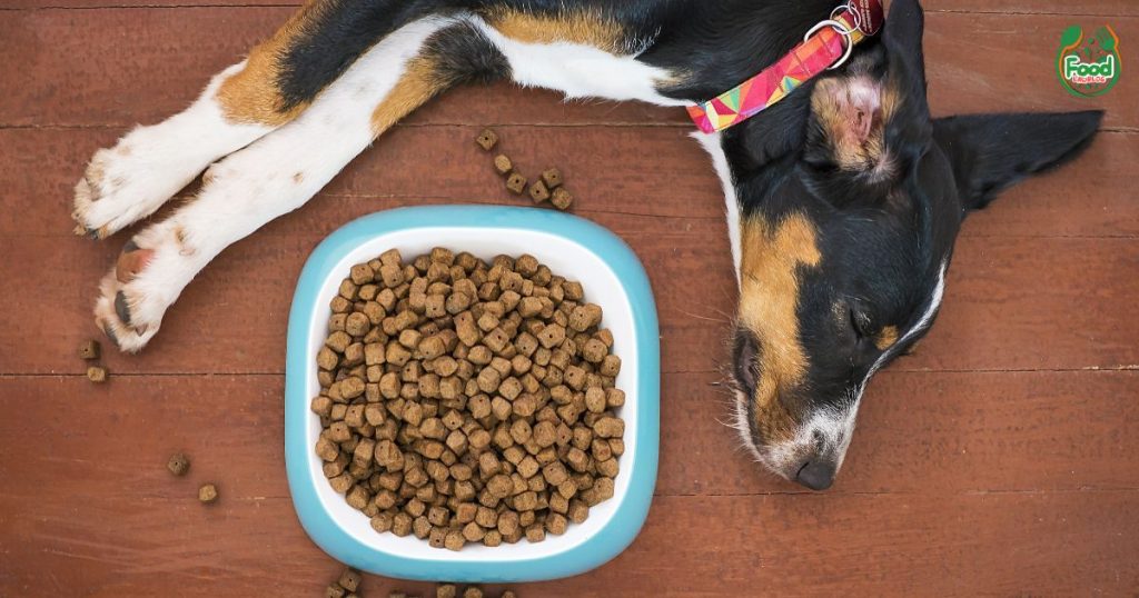 low fat dog food