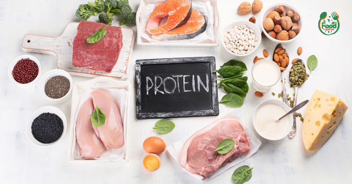 high protein wet cat food